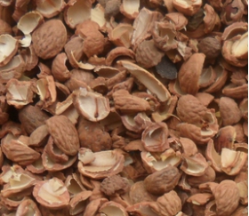 核桃深加工——核桃油，核桃粉，核桃工藝品，活性炭制品(圖3)