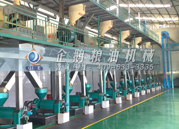 如何降低壓榨花生油中黃曲霉毒素含量？企鵝糧油機械為您提供可靠方法(圖2)