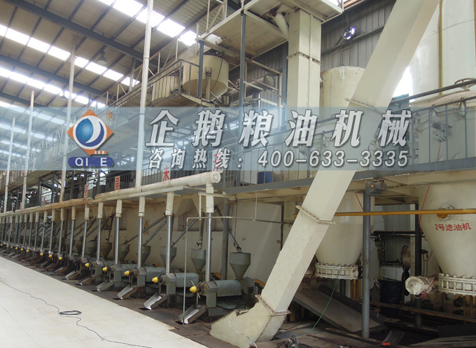 如何降低壓榨花生油中黃曲霉毒素含量？企鵝糧油機械為您提供可靠方法(圖3)