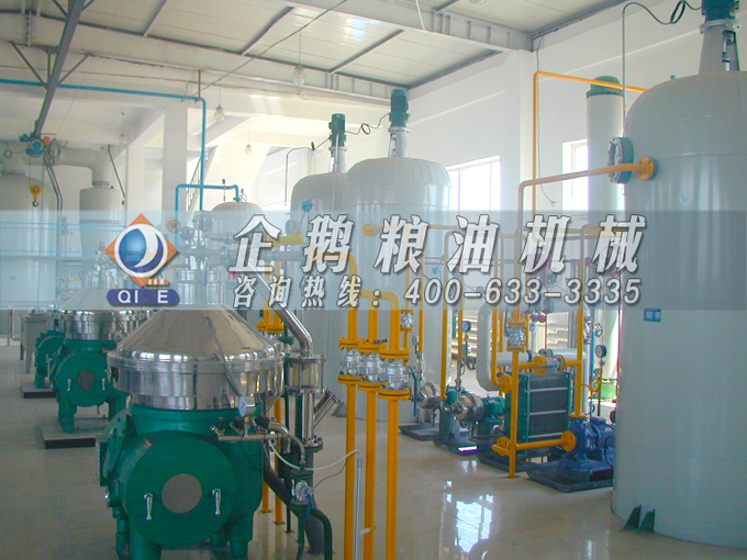 如何投資建設(shè)棕櫚油加工廠？企鵝糧油機(jī)械在線為您答疑解惑(圖2)