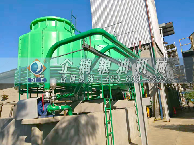 如何投資建設(shè)棕櫚油加工廠？企鵝糧油機(jī)械在線為您答疑解惑(圖3)