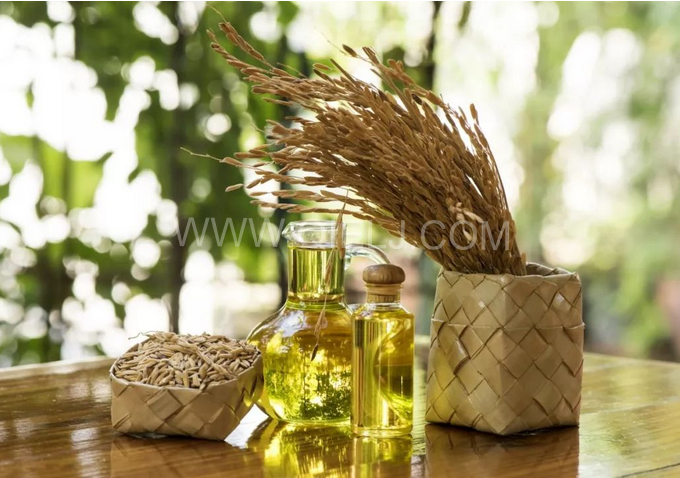 米糠油精煉設備，企鵝機械不斷創(chuàng)新提升工藝效果(圖1)