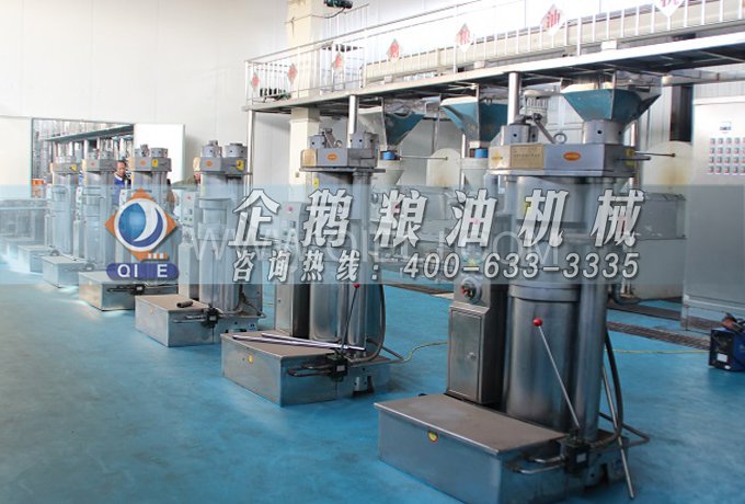 芝麻油提取加工，企鵝糧油機(jī)械生產(chǎn)色香味俱佳的油脂(圖3)