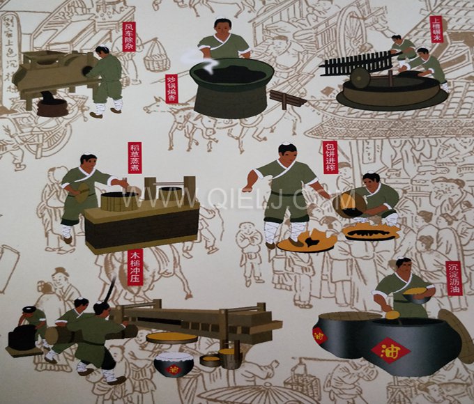 芝麻油提取加工，企鵝糧油機(jī)械生產(chǎn)色香味俱佳的油脂(圖2)